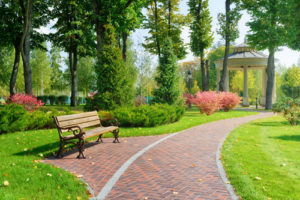 park with bench
